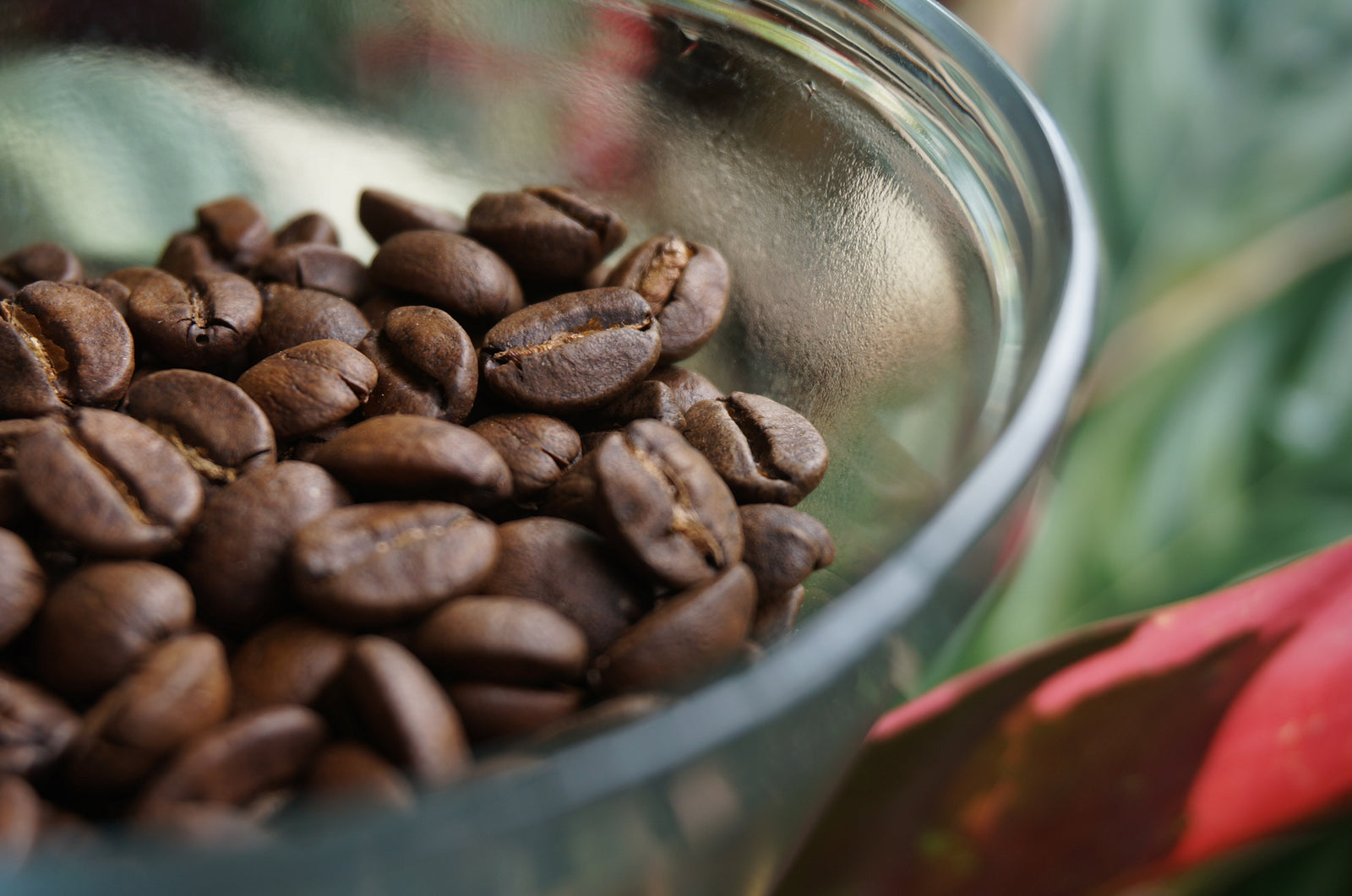 Farm to Cup Hawaiian Coffee - A Visual Guide - Big Island Coffee Roasters