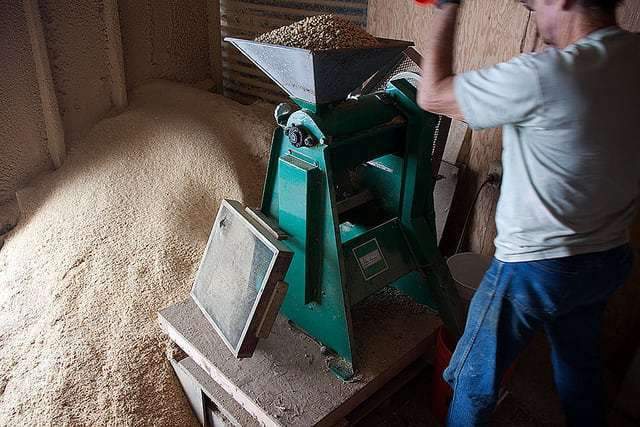 How we became Hawaii coffee farmers, and how you can too - Big Island Coffee Roasters