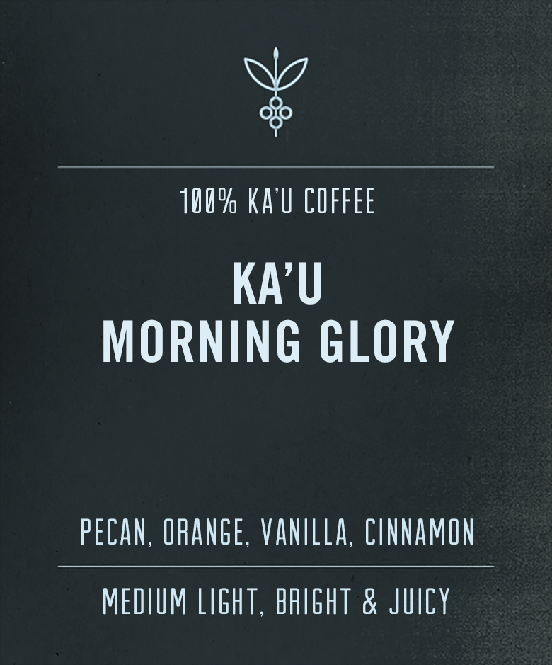 Morning Glory Ka&#39;u Coffee