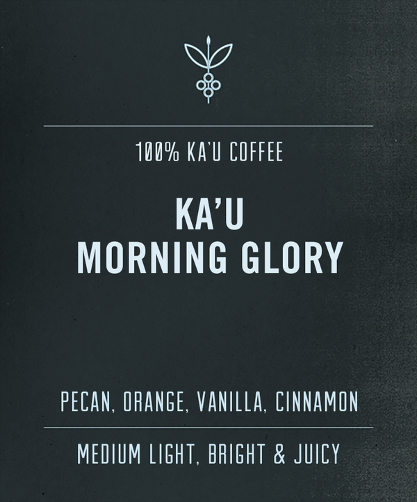 bigislandcoffeeroasters.com