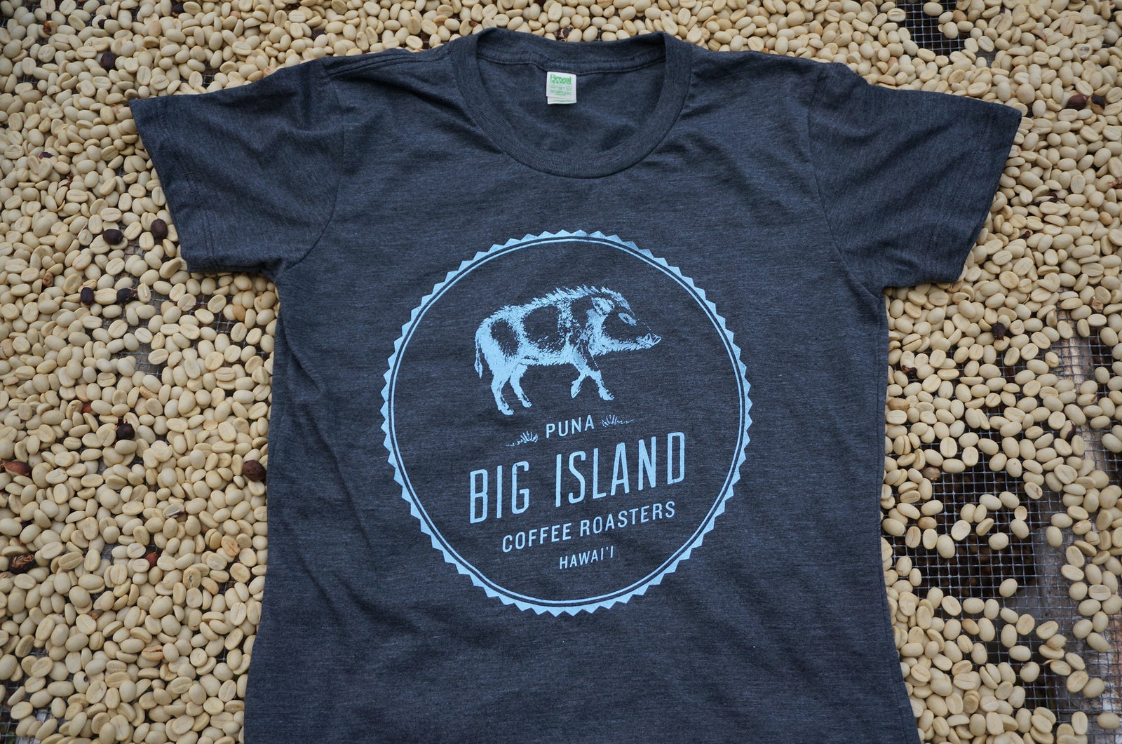 The Story Behind Our Logo