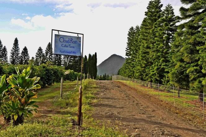Ka’u Coffee Farm On the Big island
