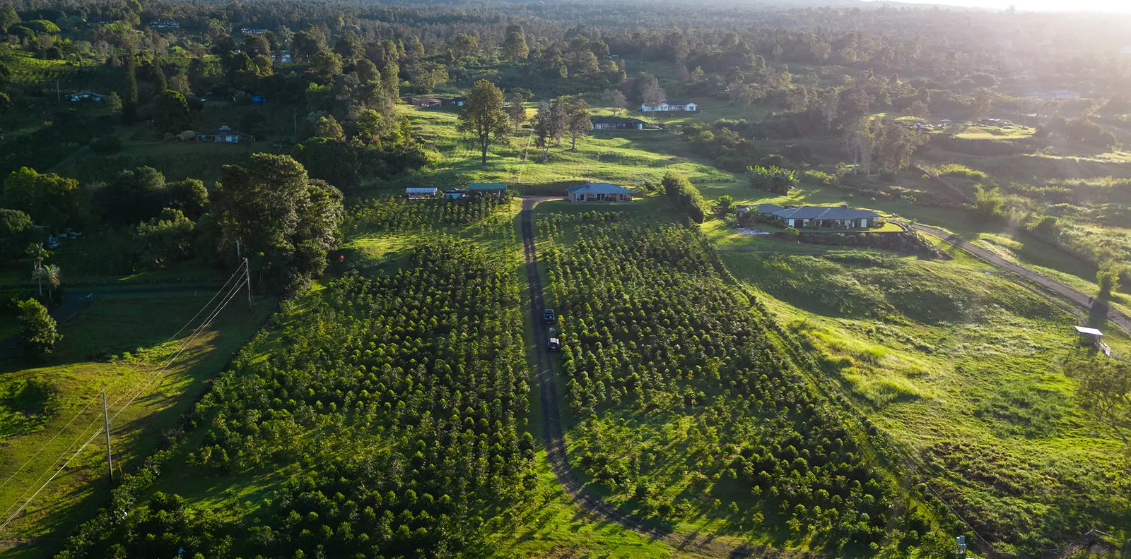 MAUI MOKKA, MOKKA, MOCHA, MOKHA - Big Island Coffee Roasters