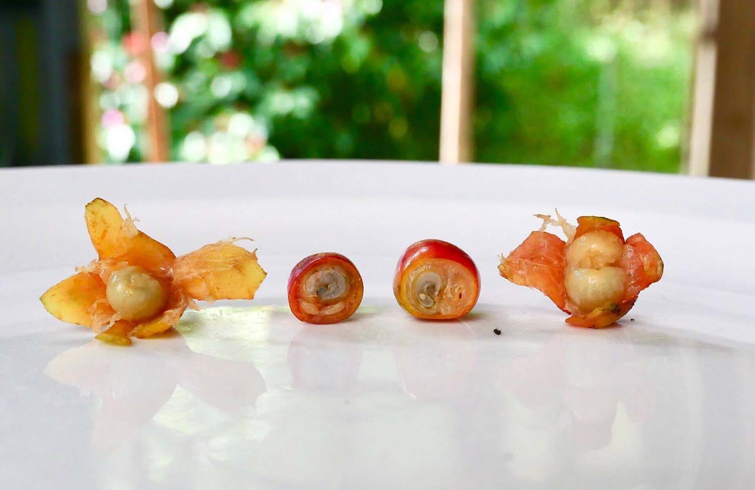 What’s Behind the Price of Kona Coffee?