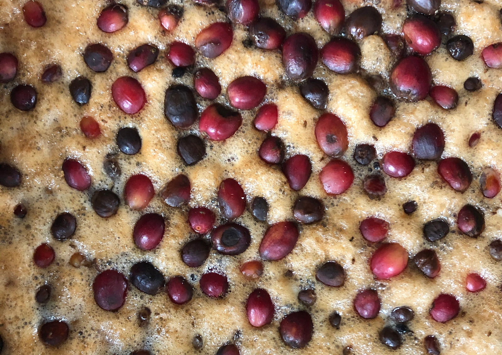 Waialua Estate: Reinventing O'ahu Coffee - Big Island Coffee Roasters