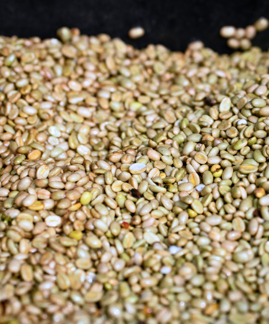 Morning Glory light roast Hawaiian Ka'u Coffee