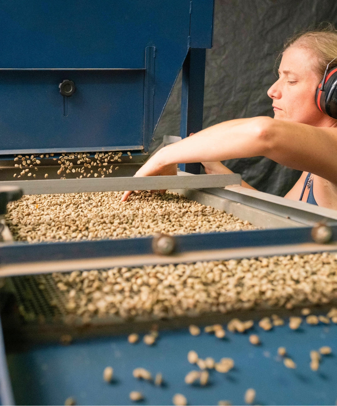 Kaʻu Morning Glory | 100% Kaʻu Coffee