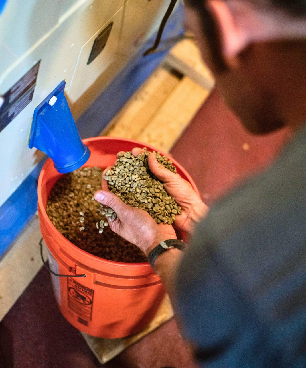 Kaʻu Morning Glory | 100% Kaʻu Coffee