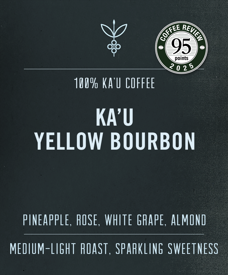 Yellow Bourbon Coffee | Powerful, Sweet & Juicy