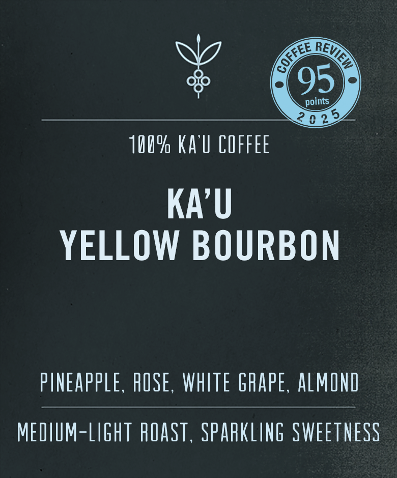 Yellow Bourbon Coffee | Powerful, Sweet & Juicy
