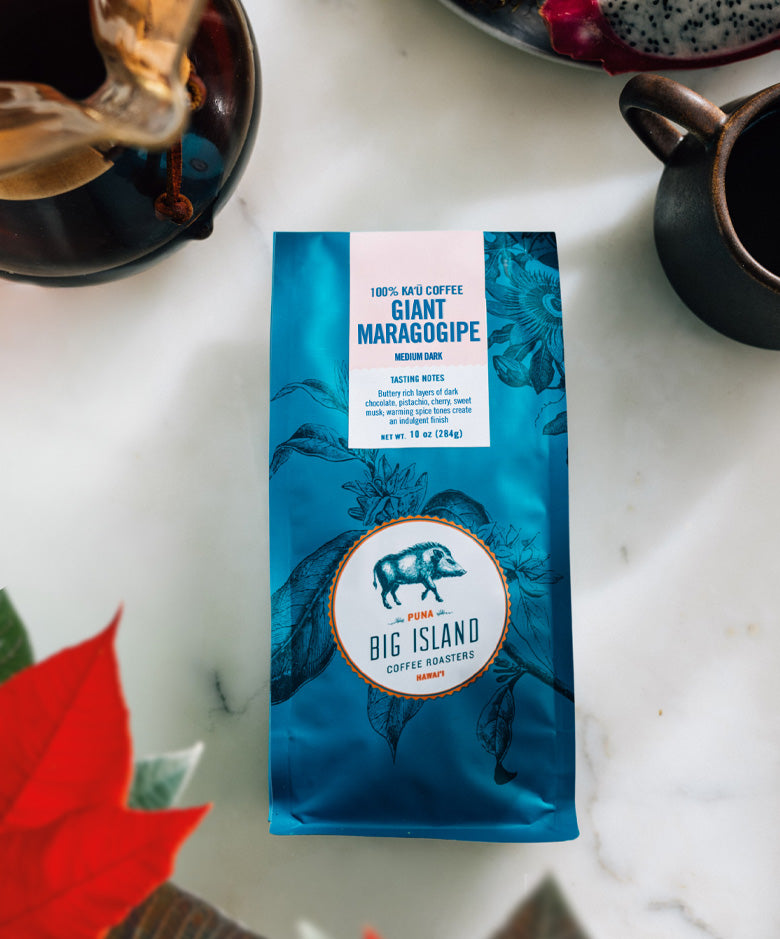 Ka'u Maragogipe | Giant Elephant Bean