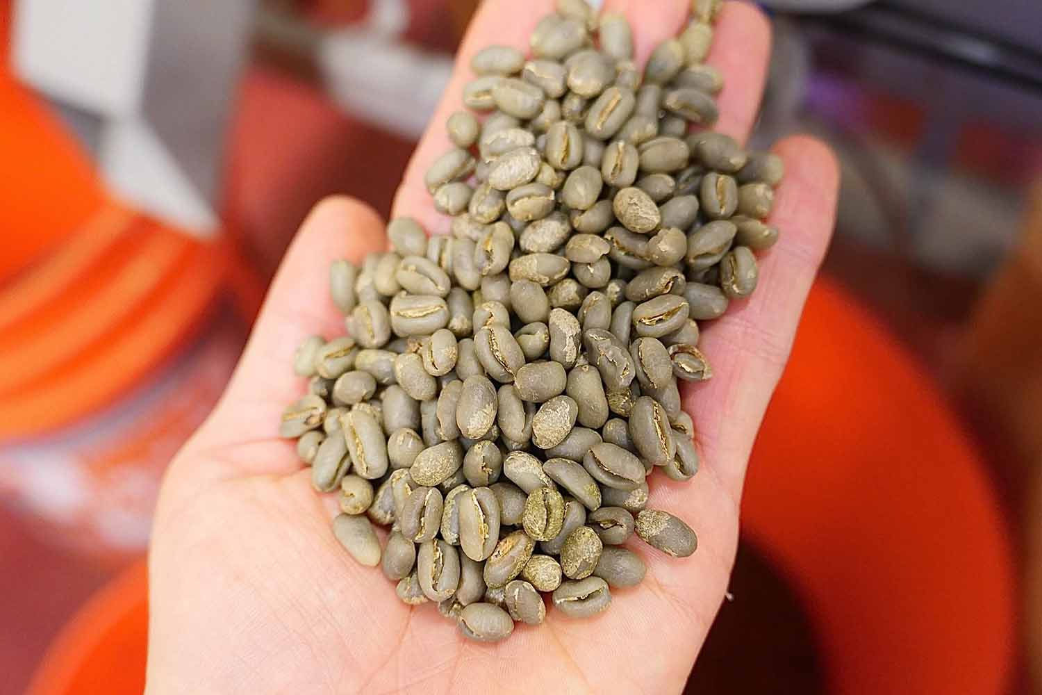 Green Coffee Beans Unroasted