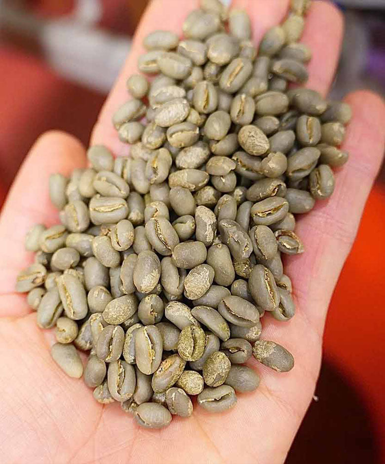 Unroasted Ka'u Green Coffee Beans