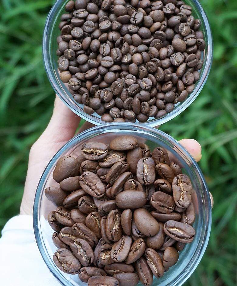 peaberry and coffee beans