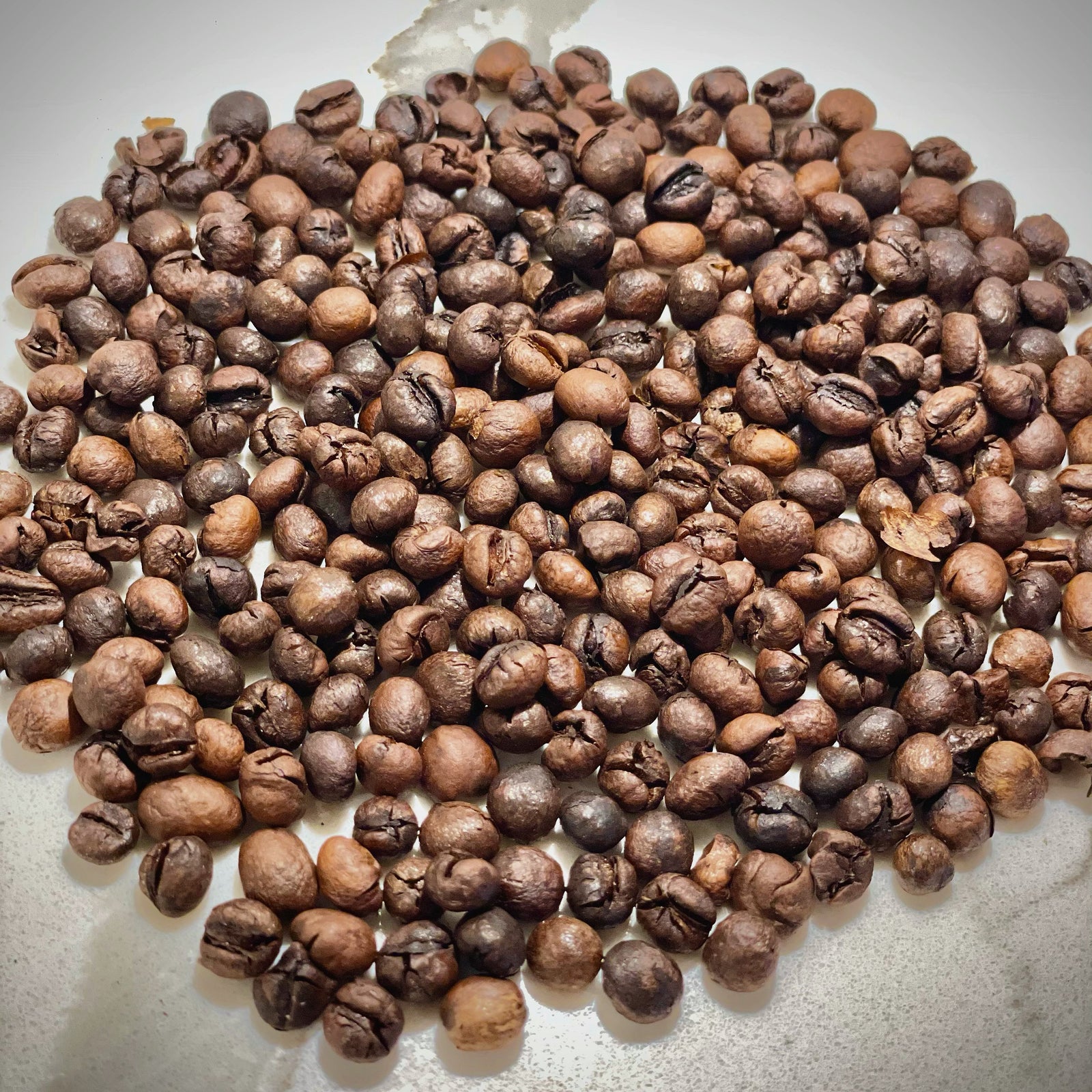 Big Island Coffee Roasters Hawaiian Coffee Maui Mokka Peaberry Maui Mokka Peaberry | Big Island Coffee Roasters