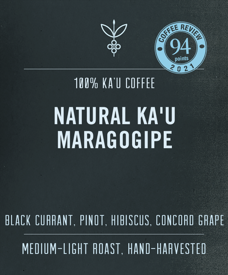 Big Island Coffee Roasters Hawaiian Coffee Whole Bean / 7 oz. Reserve: Natural Ka'u Maragogipe | Super-Specialty, Fruity Elephant Bean Natural Ka'u Maragogipe  | Super-Specialty, Fruity Elephant Bean