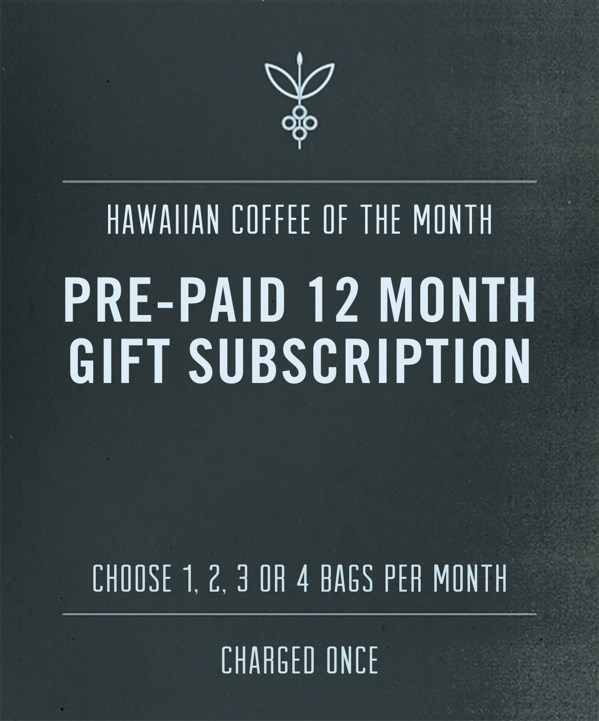 One Year Coffee Subscription