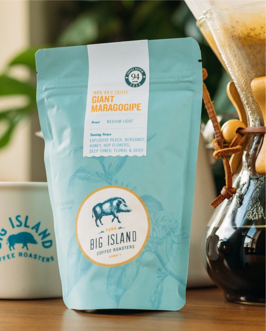Ka&#39;u Maragogipe Giant Elephant Coffee Bean