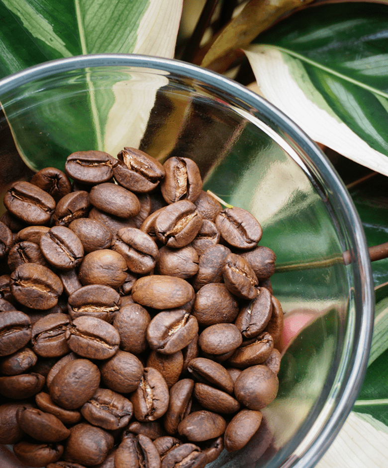 Big Island Coffee Roasters Hawaiian Coffee Ka'u Morning Glory | 100% Kaʻu Coffee 100% Ka'u Coffee | Morning Glory
