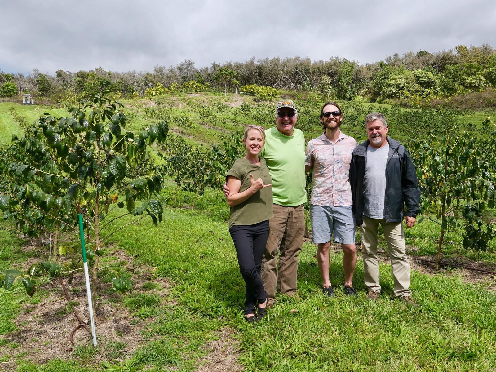 Big Island Coffee Roasters Hawaiian Coffee 10 oz / Whole Bean Kona Geisha | Carbonic Maceration 100% Kona Geisha | Carbonic Maceration | 2018 HCA Grand Champion