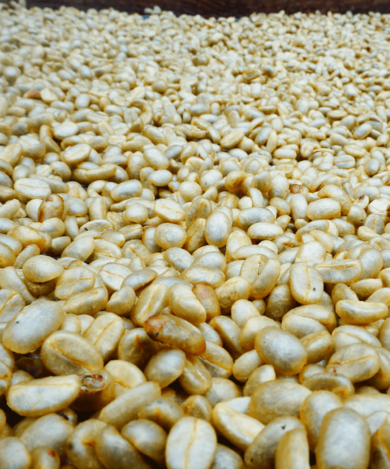 Honeyed Waialua | 100% Oahu Coffee, Honey Process